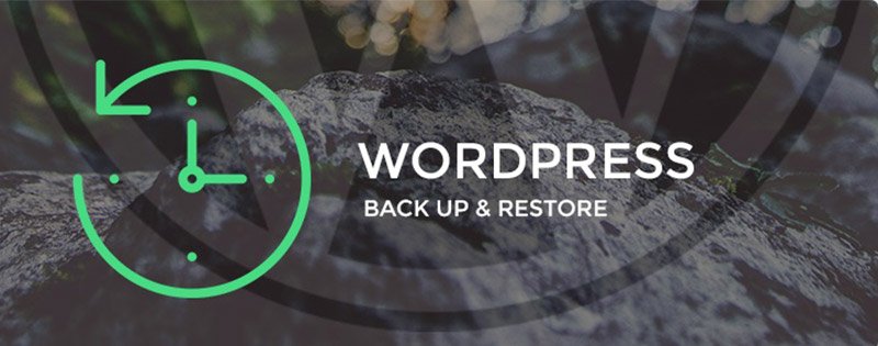 Hướng Dẫn Restore Website Wordpress Sử Dụng Directadmin